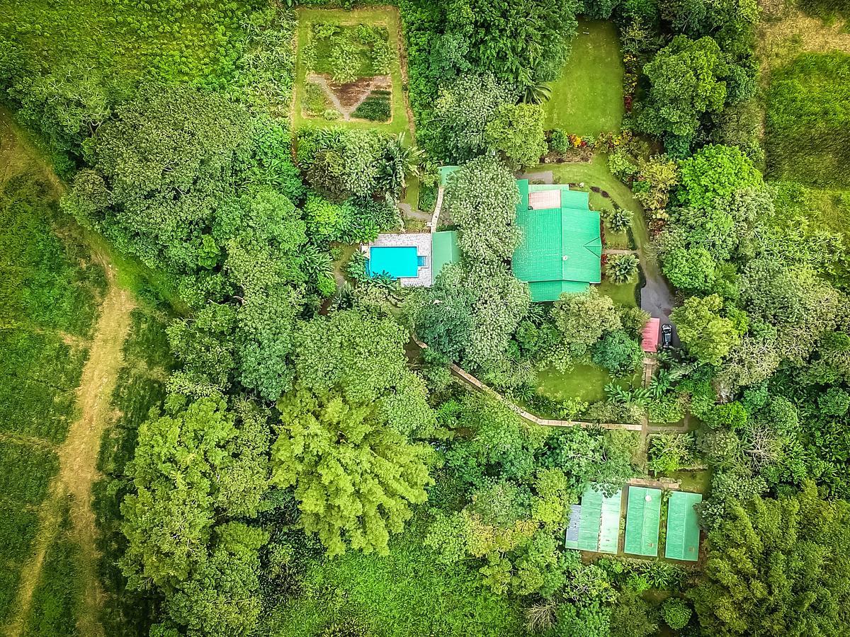 Tropical Paradise Bungalows Pital  Екстер'єр фото